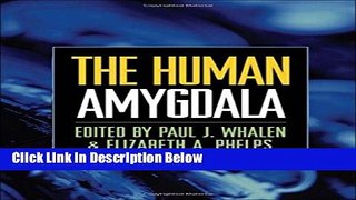 Books The Human Amygdala Free Online