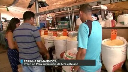 Chuva prejudica produção de mandioca e faz preço da farinha disparar