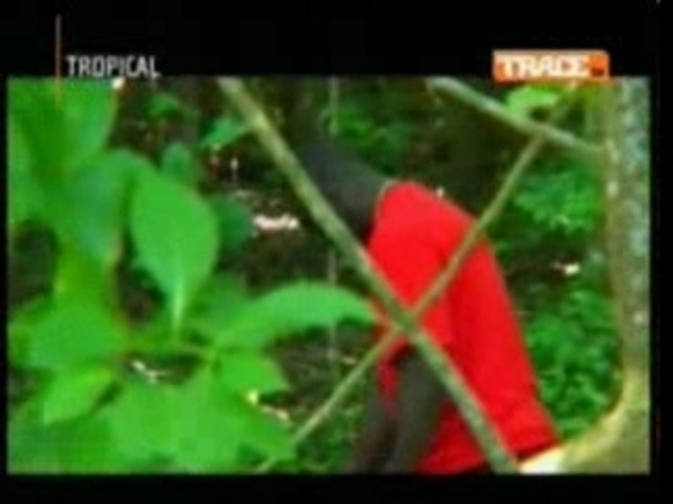 Zouk tatiana miath ou t Konnet