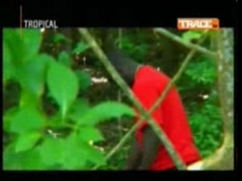 Zouk tatiana miath ou t Konnet