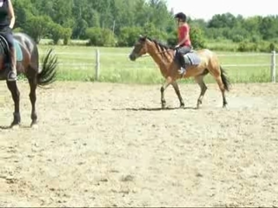Au trot!