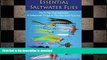 READ BOOK  Essential Saltwater Flies: Step-by-Step Tying Instructions; 38 Indispensable Designs