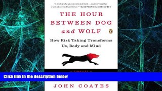 Big Deals  The Hour Between Dog and Wolf: How Risk Taking Transforms Us, Body and Mind  Best
