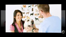 Pets First Animal Hospital – Experienced Vet in Cape Coral FL