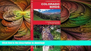 READ  Colorado Birds: A Folding Pocket Guide to Familiar Species (Pocket Naturalist Guide