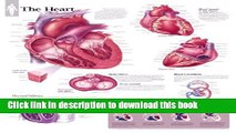 New Book The Heart chart: Laminated Wall Chart