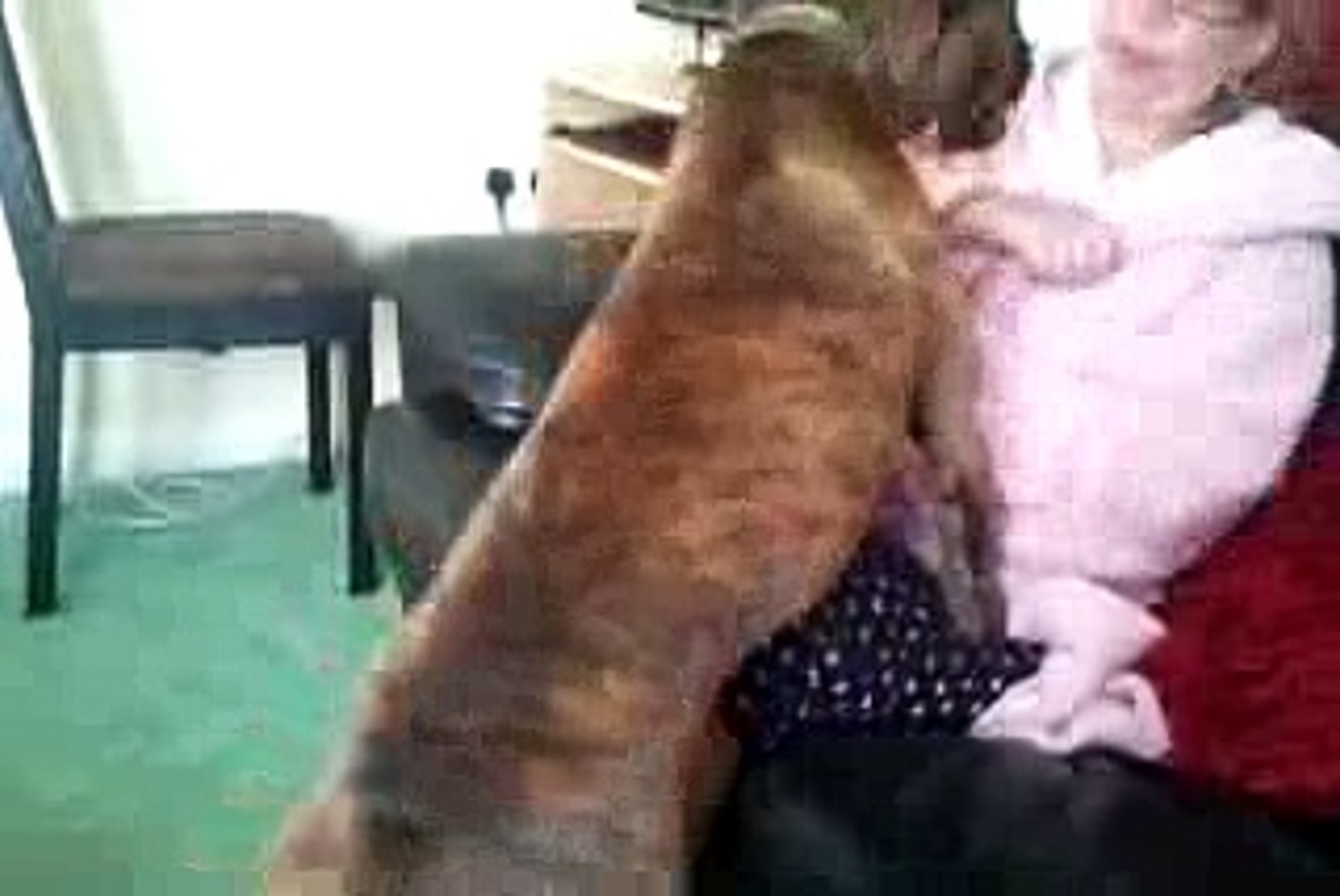 sexy aunty sey dog mazey le raha ha - video Dailymotion