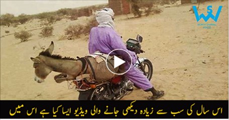 Top-Funny-Video-Life-is-Fun-Always-Be-Happy