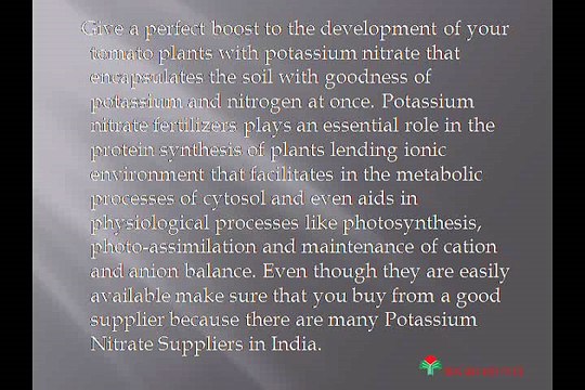 Potassium Nitrate: Best Fertilizer For Tomatoes !