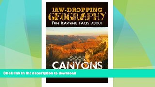READ  Jaw-Dropping Geography: Fun Learning Facts About Cool Canyons: Illustrated Fun Learning For