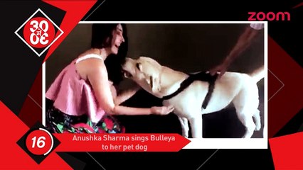 Anushka Sings Bulleya To Her Pet Dog, Shah Rukh Khan Gets Overprotective About Kids