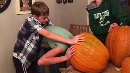 Elle se retrouve la tête coincée dans une citrouille