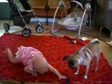 Köpek Bebeğe Nasıl Emekleyeceğini Öğretiyor
