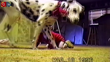 Funny babies dogs | Best funny baby and animal videos compilation 2016 HD | part-1