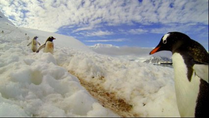 Antarctica deal on marine protection reached