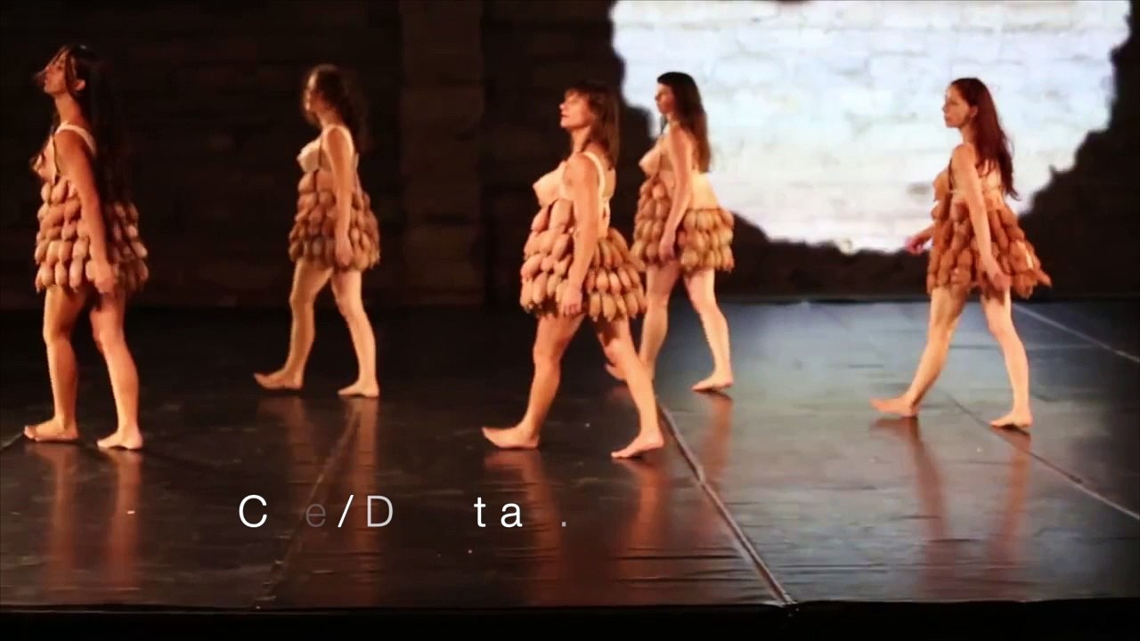Festival de danse | INSTANCES | 17 au 23 novembre 2016
