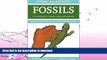 READ BOOK  Formac Pocketguide to Fossils: Fossils, Rocks   Minerals in Nova Scotia, New Brunswick