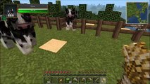 Minecraft Inifinity Ep. 3 - ChibiKage89 - Cows In The Pen