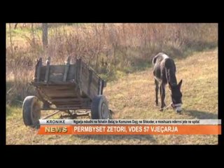 PERMBYSET ZETORI, VDES 57 VJEÇARJA