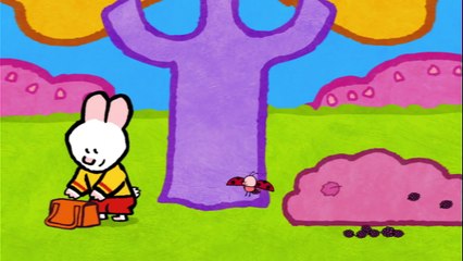 Koala - Didou, dessine-moi un koala |Dessins animés pour les enfants