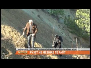 PYJET NE MESHIRE TE FATIT