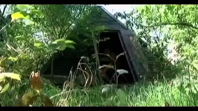 Перенос личности. Вечная жизнь в компьютере. Документальный фильм