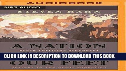 Ebook A Nation Under Our Feet: Black Political Struggles in the Rural South from Slavery to the