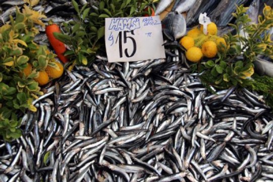Havalar Soğudu Hamsinin Kilosu 15 Lira Oldu