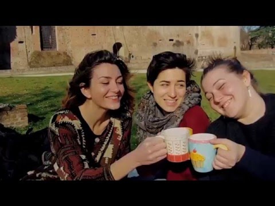 Hollis Brown feat. Bo Diddley - Rain Dance fan music video