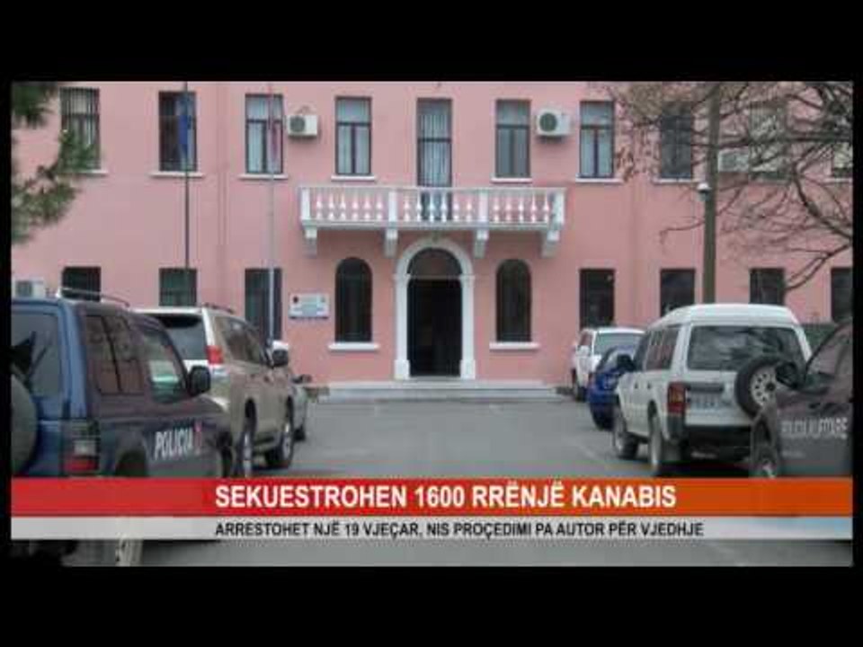 SEKUESTROHEN 1600 RRËNJË KANABIS
