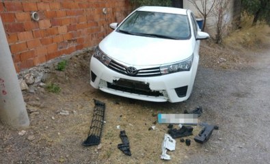 Sokak Köpekleri Yine Bir Araç Parçaladı!