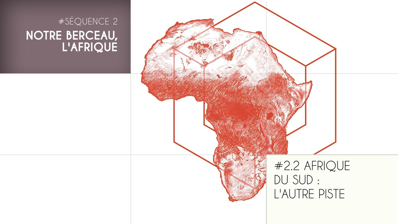 MOOC Les origines de l’Homme, Séquence 2.2. Afrique du Sud : l'autre piste