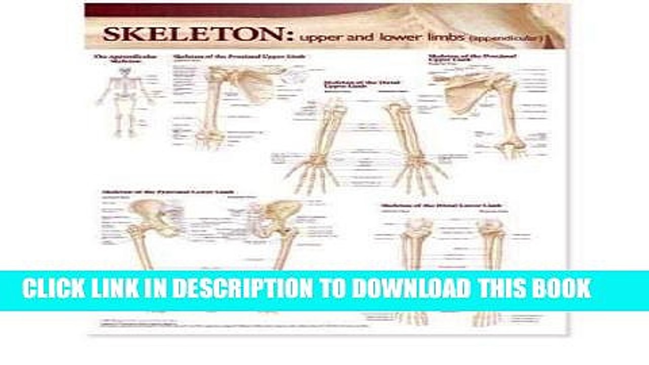 [FREE] EBOOK Lippincott Williams   Wilkins Atlas of Anatomy Skeletal System Chart: Upper and Lower