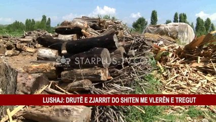 LUSHAJ: NË FUND TË TETORIT NIS FURNIZIMI ME DRU ZJARRI