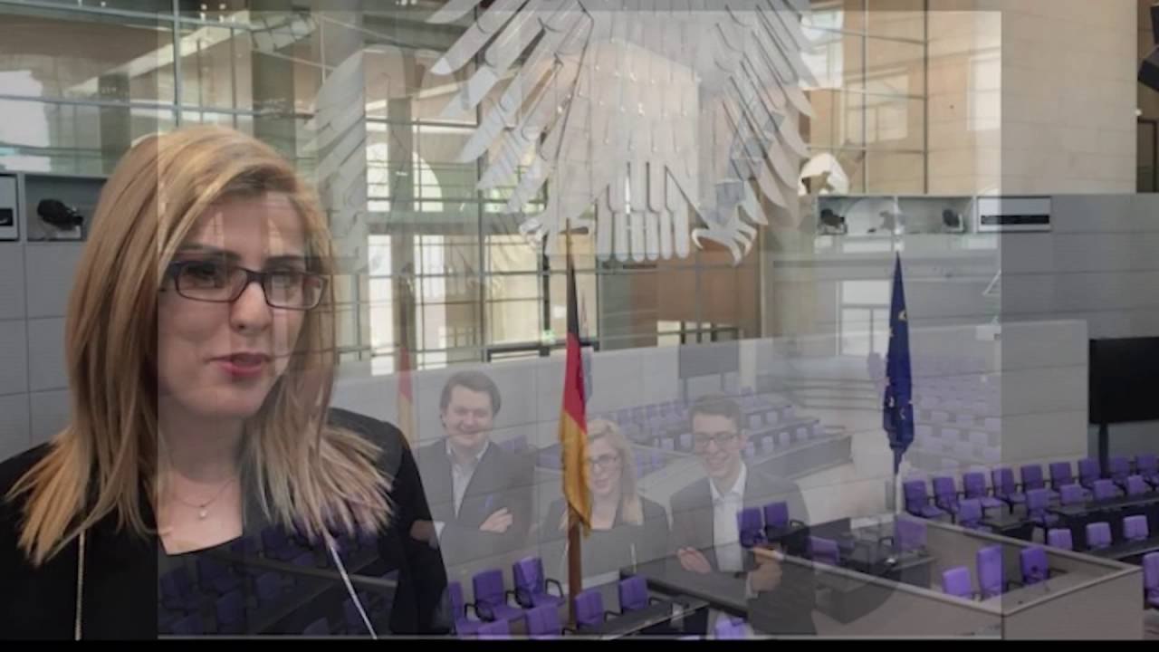 EDHE DEPUTETET E BUNDESTAGUT GJERMAN APELOJNE PER MIRATIMIN E DEMARKACIONIT ME MALIN E ZI LAJM