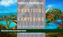 Deals in Books  Practical Lawyering: The Skills You Did Not Learn in Law School  Premium Ebooks