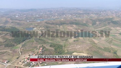 Vlorë, asgjësohen parcelat me hashash - News, Lajme - Vizion Plus