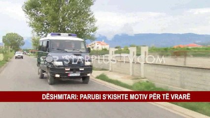 DËSHMITARI: PARUBI S’KISHTE MOTIV PËR TË VRARË