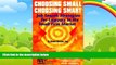 Books to Read  Choosing Small, Choosing Smart: Job Search Strategies for Lawyers in the Small Firm