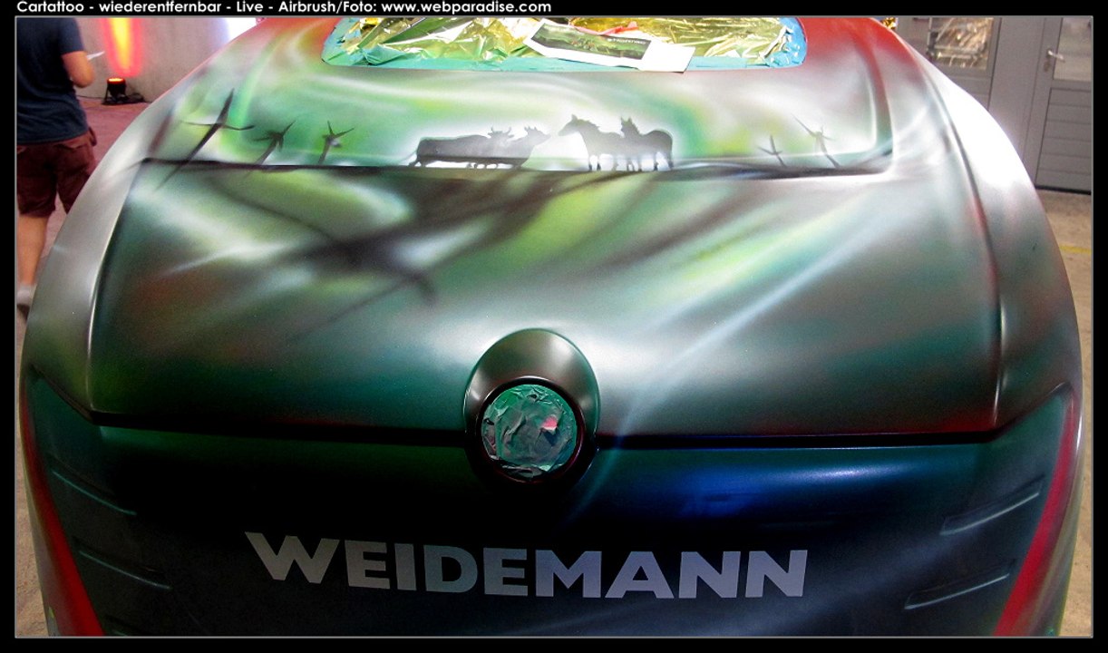 autobemalung-live-autobemalungen-cartattoo-wieder-entfernbar-dumbsky-christine