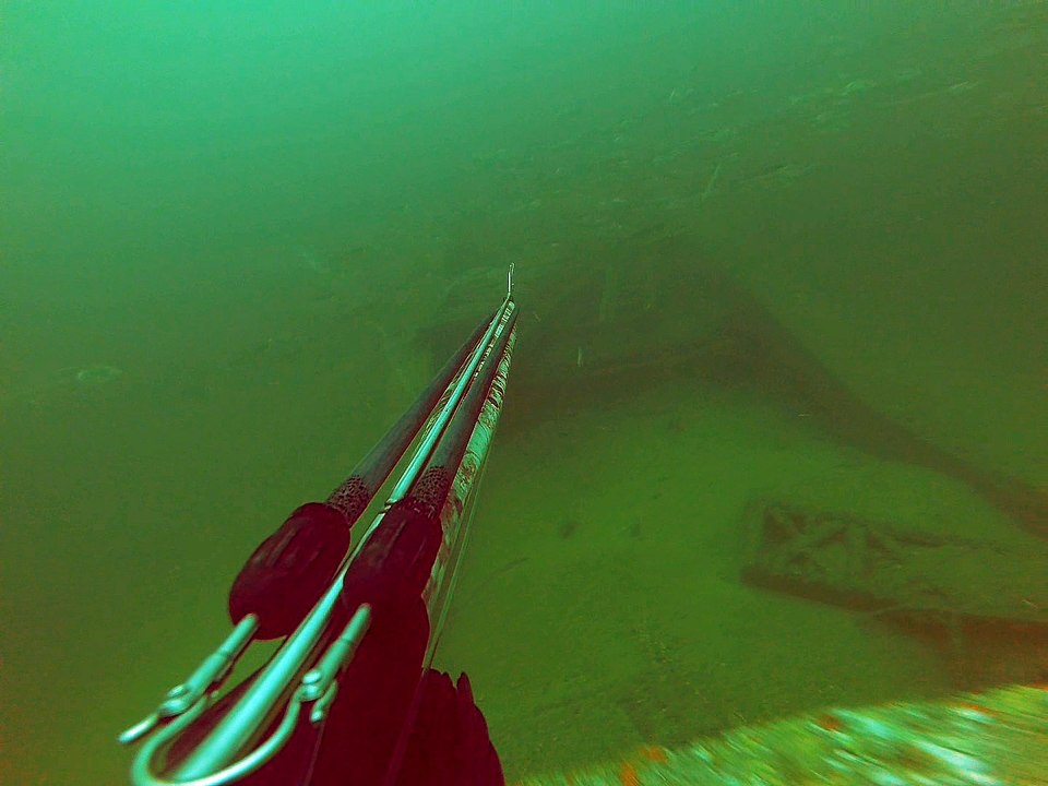 sortie du 24 octobre 2016 bis