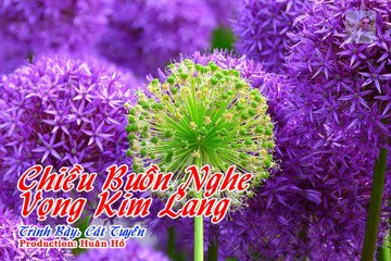 KARAOKE HD -Vọng Kim Lang