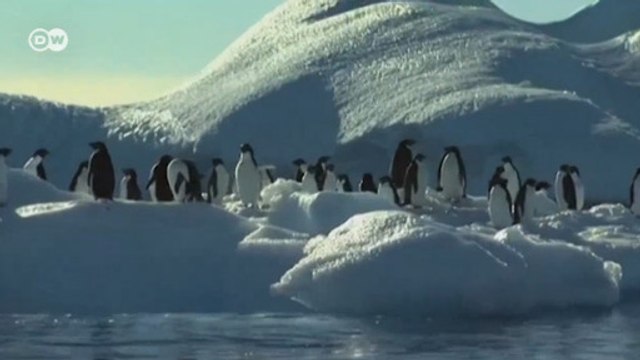 Antarktika'da sualtı koruma alanı oluşturulacak