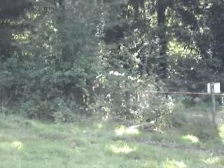 Rallye des Lacs 2007