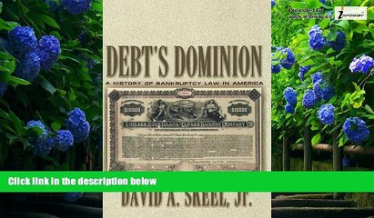 Big Deals  Debt s Dominion: A History of Bankruptcy Law in America  Best Seller Books Best Seller