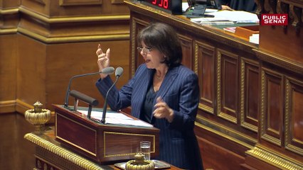 La sénatrice Nathalie Goulet plaide pour un outil de révision des conventions fiscales internationales