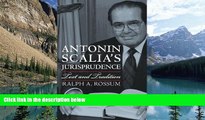 Books to Read  Antonin Scalia s Jurisprudence: Text and Tradition  Best Seller Books Most Wanted