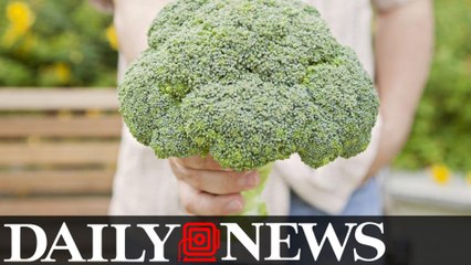 The Fountain Of Youth May Actually Be Broccoli