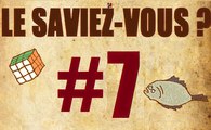 Le Saviez-Vous #7 - Henri IV, Australopithèque et Poisson Plat