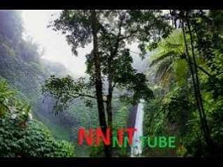 Cisco WebEx Meetings